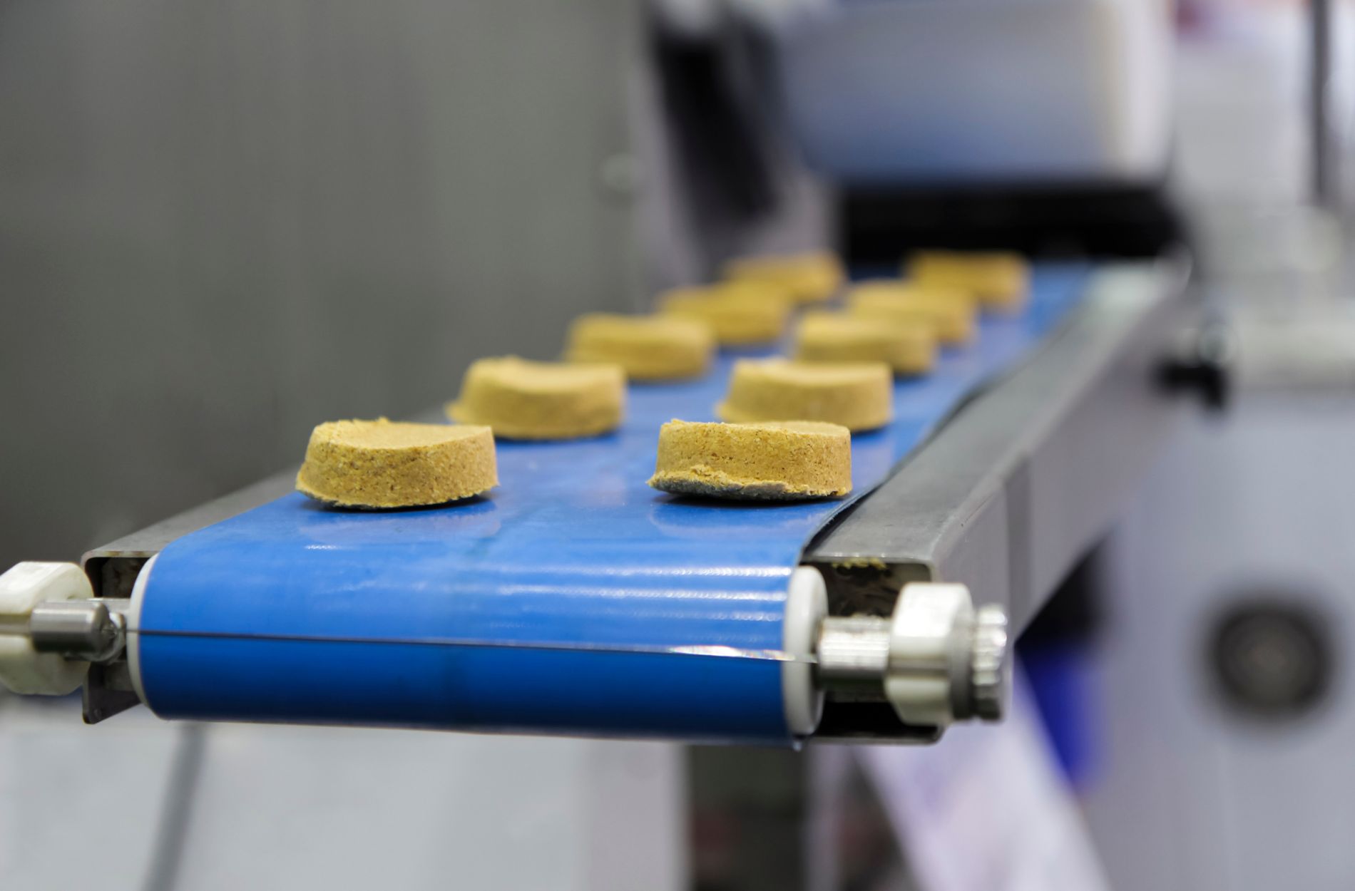 conveyor belt
